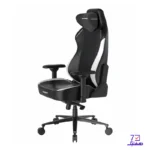 صندلی گیمینگ دی ایکس ریسر Craft Series 2025 XL Black White - تصویر 3