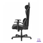 صندلی گیمینگ دی ایکس ریسر Formula Series 2025 L black White - تصویر 6